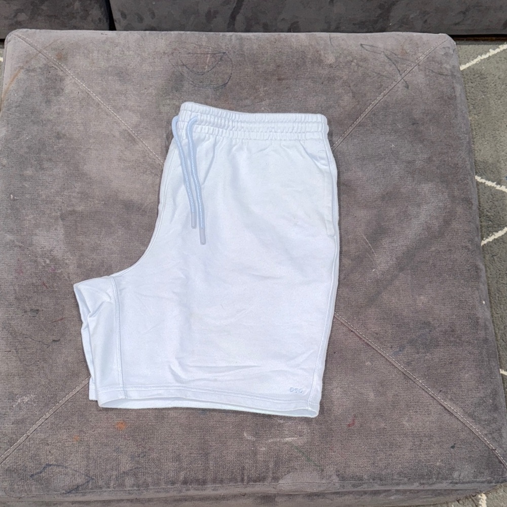 DSG Men's Sky Blue Athletic Shorts